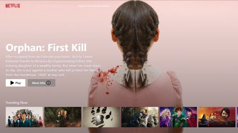 NETFLIX UI